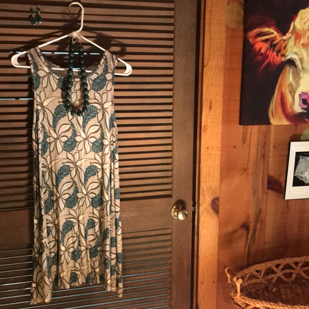Ann Taylor Loft lightly worn dress-size small
